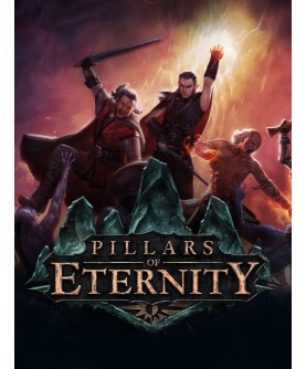 Pillars of Eternity Hero Edition GOG.com Key GLOBAL